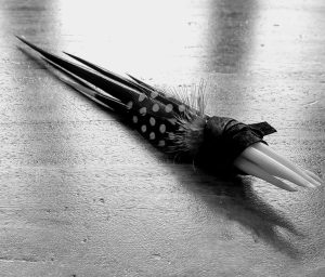 Feather and Quill